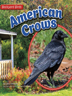 cover image of American Crows